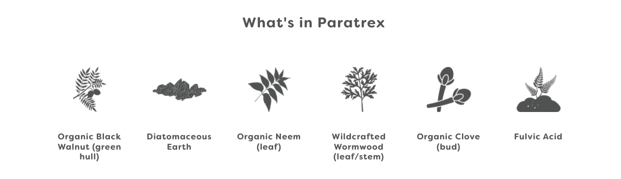 What's in Paratrex?