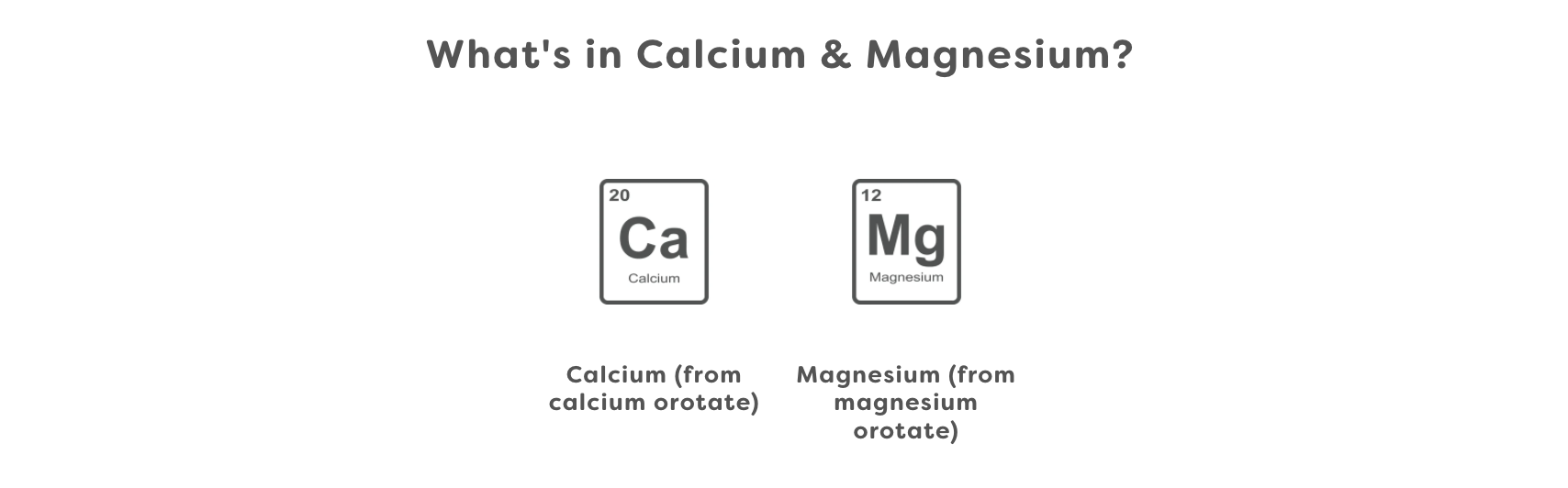 What's in Calcium & Magnesium